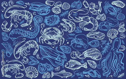 Isolated vector set of seafood. Shrimps, langoustines, prawns, salmon, trout, oysters, mussels, squid, crab, lemon, octopus, squid, rosemary. Hand-drawn seafood delicacy, restaurant and marine.