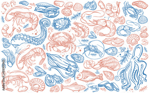 Isolated vector set of seafood. Shrimps, langoustines, prawns, salmon, trout, oysters, mussels, squid, crab, lemon, octopus, squid, rosemary. Hand-drawn seafood delicacy, restaurant and marine.
