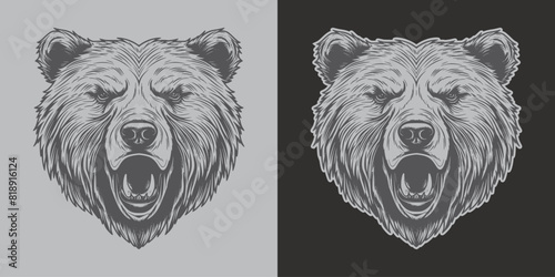 Vintage retro engraving woodcut style sketch draw paint of bear face portrait mascot illustration view