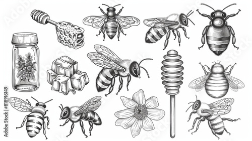  Honey, mead. Beekeeping, apiculture, bees sketch vector illustration 3d avatrs set vector icon, white © Nabeel