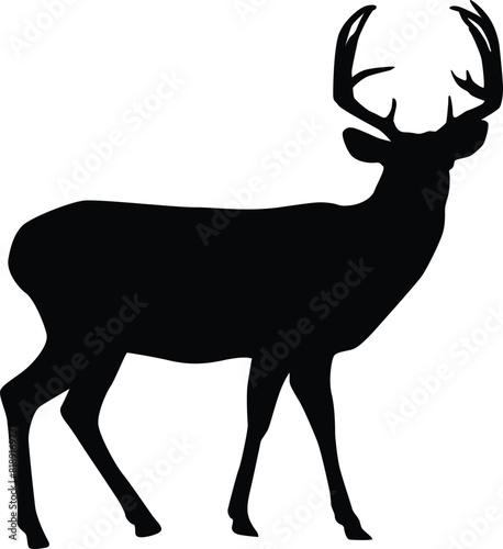 Silhouette of a deer isolated on white. Illustration of deer animal in wildlife