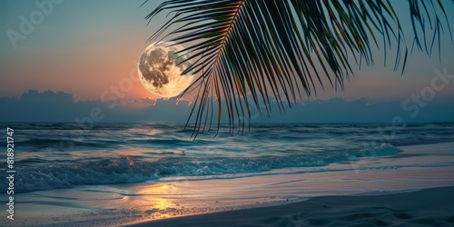 Seascape with full moon and palm trees on the seashore.