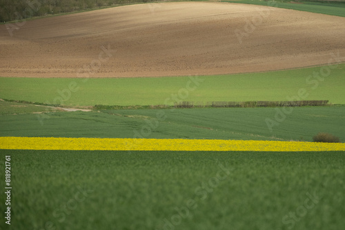 Felderwirtschaft