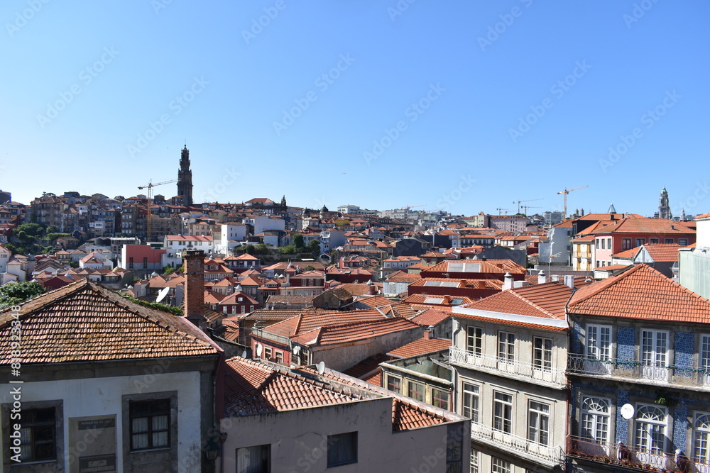 Fototapeta premium Nature