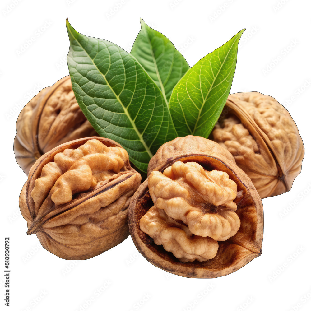 dried walnuts with leaves on transparent background dried walnuts with leaves on transparent background