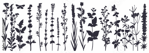 Black silhouettes of grass, flowers, and herbs with insects, hand-drawn vector on white background.