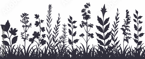 Black silhouettes of grass, flowers, and herbs with insects, hand-drawn vector on white background. #818930788
