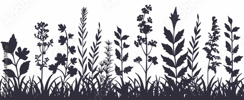 Black silhouettes of grass, flowers, and herbs with insects, hand-drawn vector on white background.