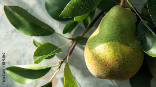 Close-up of fresh pear captured with their intense green hues and shiny texture. Summer fruit