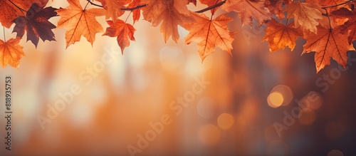Fototapeta Naklejka Na Ścianę i Meble -  A fall themed background with orange leaves perfect for conveying the essence of autumn Offers plenty of copy space for your needs