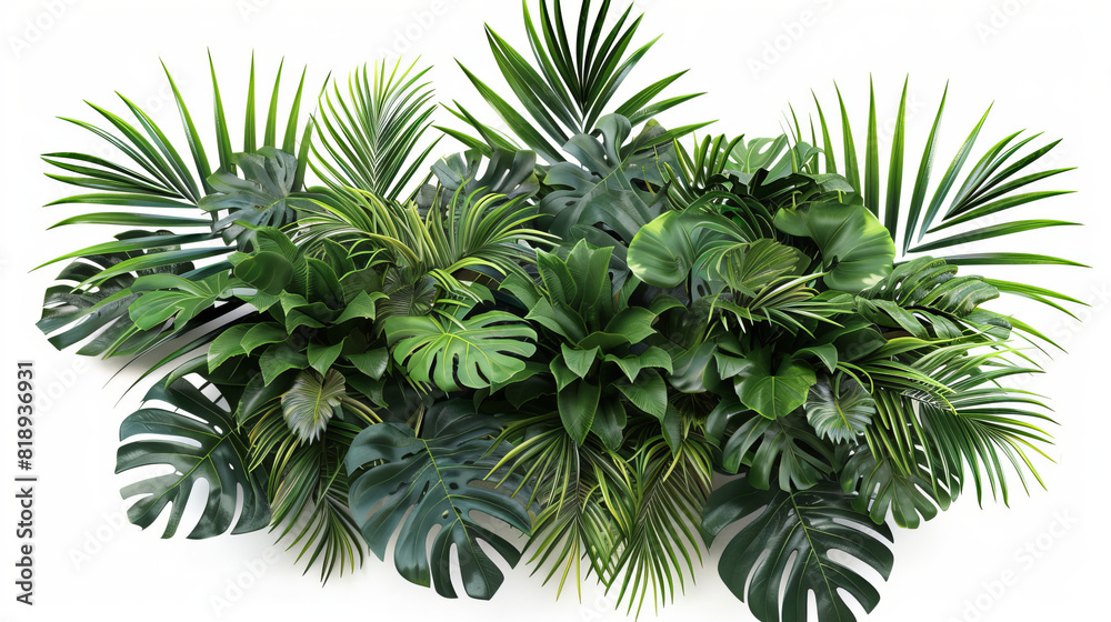 Vividly painted palm trees and ferns pop against a clean white backdrop, exuding tropical vibes and artistic flair.
Vividly painted palm trees and ferns pop against a clean white backdrop, exuding tropical vibes and artistic flair.