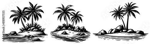 beautiful view of tropical palm tree on island, beach and ocean background, tropical vacation, black vector in ink sketch style, tree woodcut engraving, lacer cutting photo
