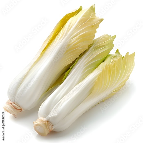 Fresh Endive on White A Crisp and Nutritious Addition to any Meal