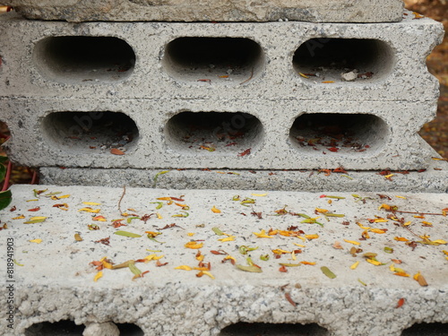 Cement brick blocks with fallen flower petals