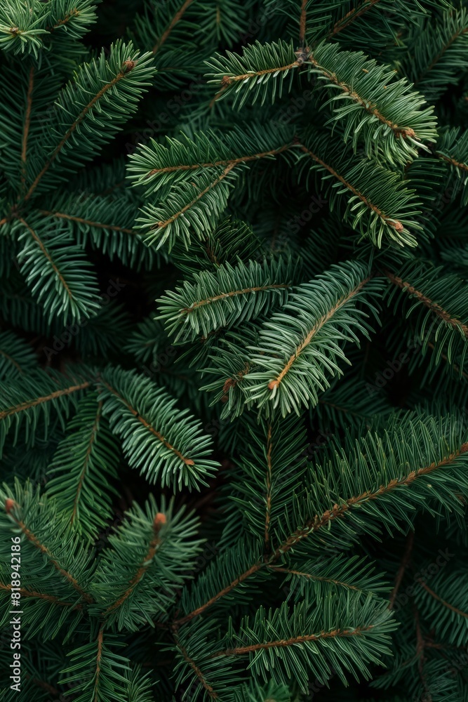 a christmas tree background