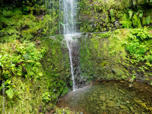 Waterfall in dense tropical laurel forest vegetation with ferns, moss and stones at Levada Caldeirao Verde and Caldeirao do Inferno hiking trail, Madeira island, Portugal © Kristyna