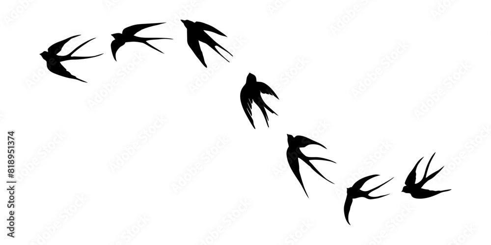 black silhouette or illustration of a swallow black silhouette or illustration of a swallow