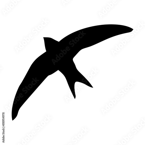black silhouette or illustration of a swallow