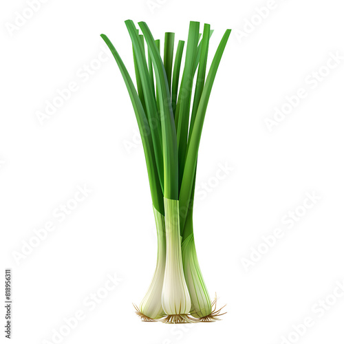 Fresh green scallions on white background