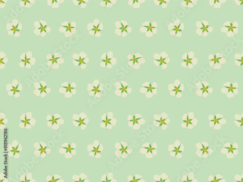 Seamless pattern made of hand drawn strawberry's flowers, linear structure. Light green background (backdrop). Plants and flowers. Vector illustration.