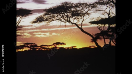 Kenya 1969, Sunset Silhouette Kenya 1960s photo