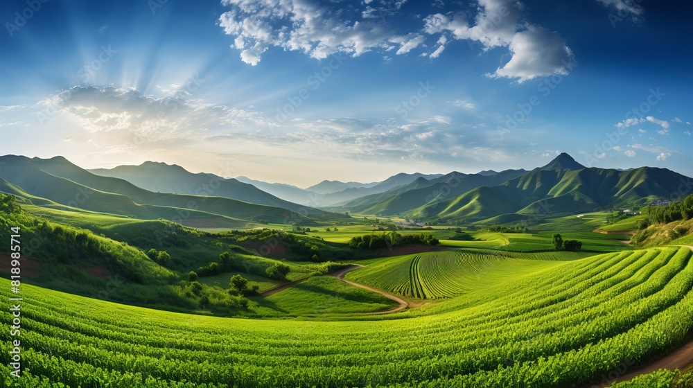 Green crops grow in rows against the backdrop of mountains and the rising sun.
Concept: Ecological farming, sustainable development, agriculture, harvest.