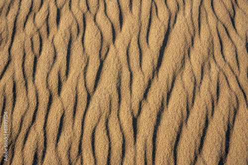 Patterns of ripples on sand dunes