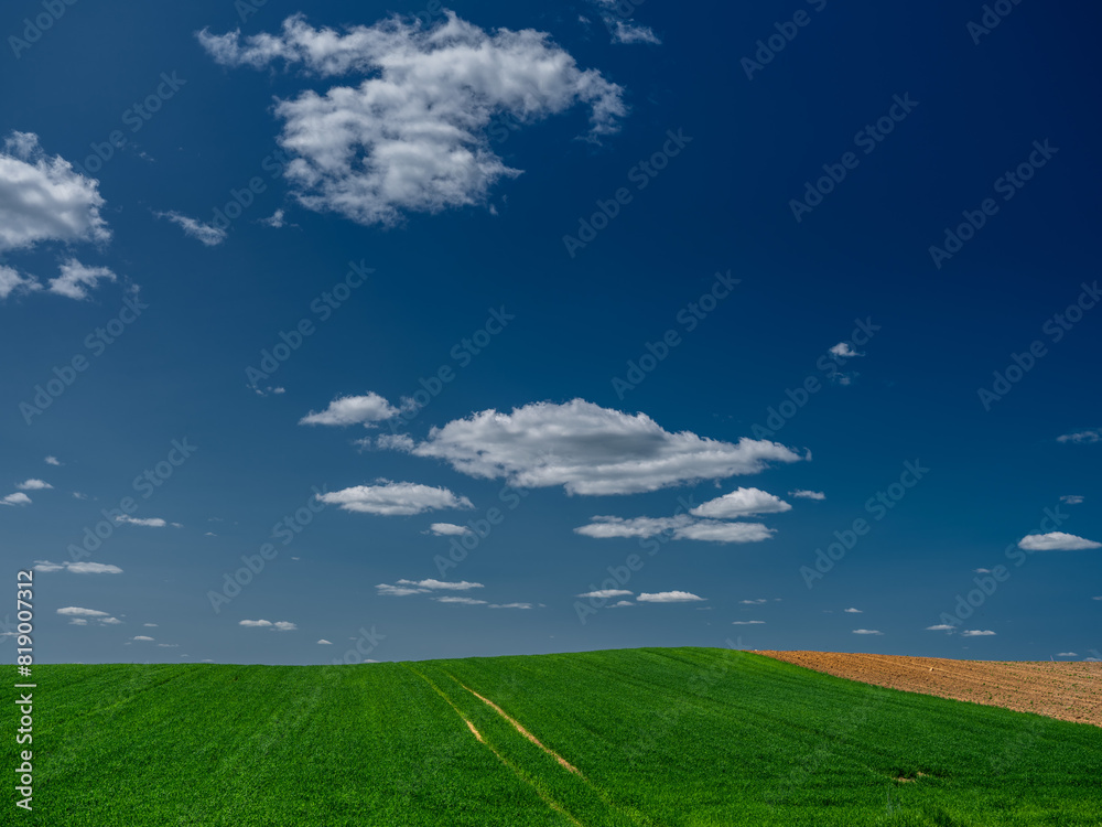 Fototapeta premium Chmury