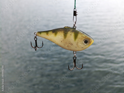Hard fishing lure, artificial bait. facing the water photo