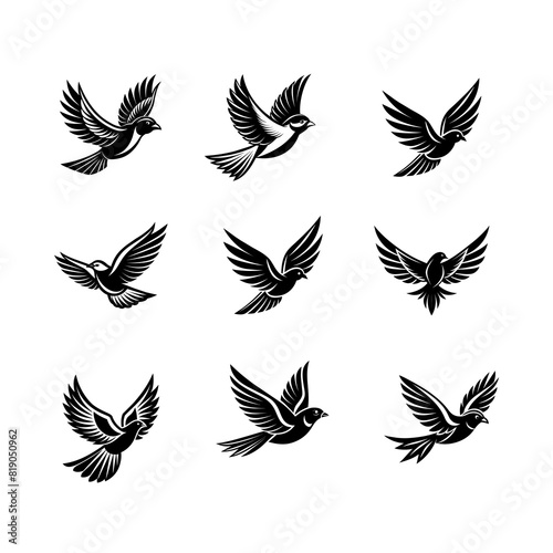 a collection of black and white birds with black wings.