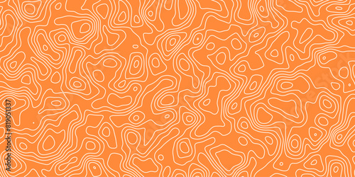 Elevation map simulation rendered with abstract line contours and waves

