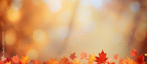 Colorful autumn leaves border with room for text in blurred background. copy space available