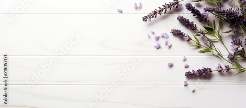 cosmetic products with lavender and thyme leaves on white wooden table background. copy space available