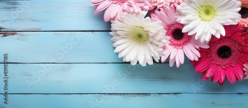 Bouquet of pink and white gerberas with frame on blue wooden background. copy space available