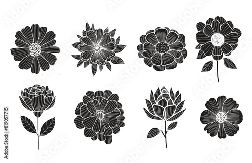 Set of floral background. Vector illustration for graphic and web design, marketing material, social media, presentation template, seasonal greeting cards.