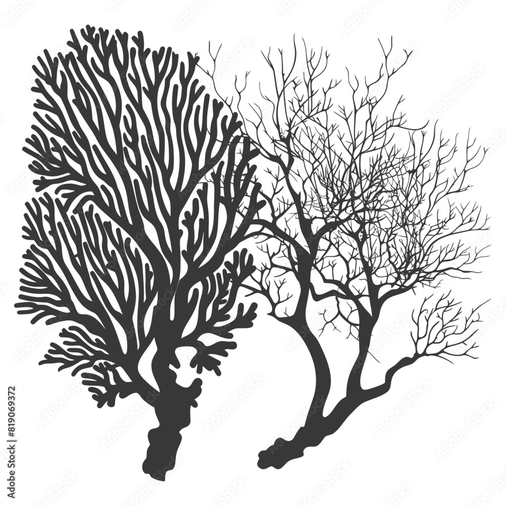 Naklejka premium silhouette corals are marine invertebrate animal black color only