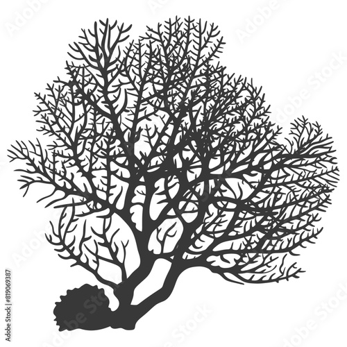 silhouette corals are marine invertebrate animal black color only