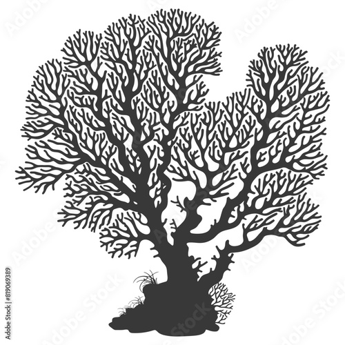 silhouette corals are marine invertebrate animal black color only