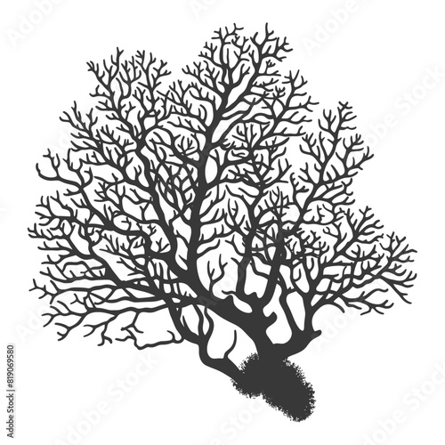 silhouette corals are marine invertebrate animal black color only