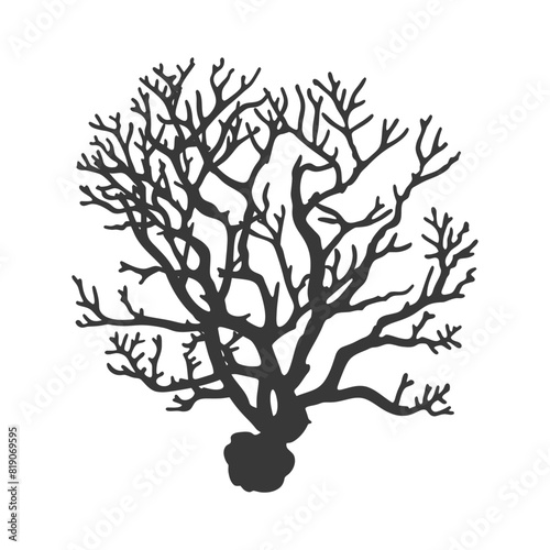 silhouette corals are marine invertebrate animal black color only