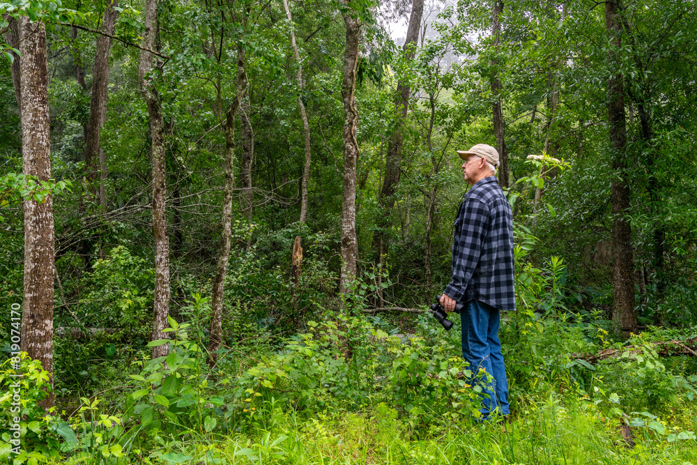Senior man with binoculars in the trees of a dense forest in southeastern Texas.