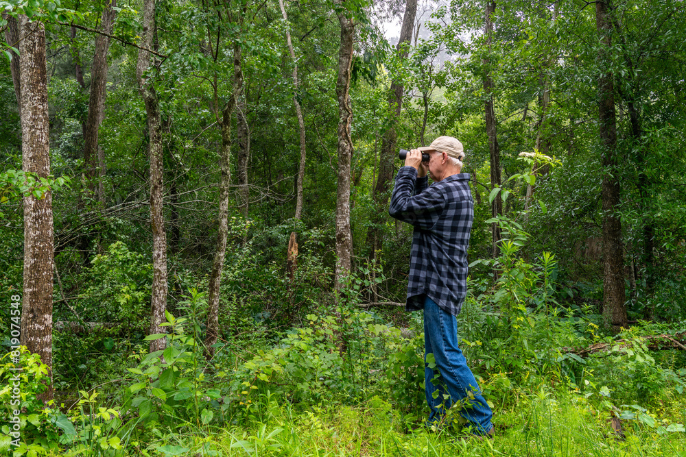 Senior man looking at something with binoculars in the trees of a dense forest in southeastern Texas. Senior man looking at something with binoculars in the trees of a dense forest in southeastern Texas.