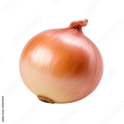 Wallpaper Mural Farm Fresh Onion Isolated with No Background Torontodigital.ca