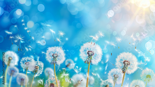 A close up of a bunch of dandelions blowing in the wind