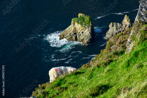 Group of Rocks on Lush Green Hillside