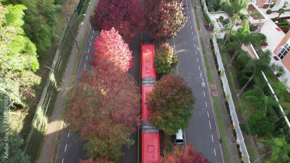 Rua conhecida como Rua do Outono em Curitiba Paraná, imagens feitas com drone das lindas arvores da estação do outono em Curitiba