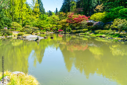 Japanese Garden Pond 2