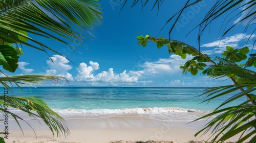 Serene Tropical Beach Expanse photo