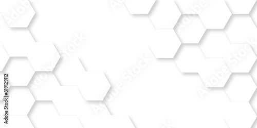 Vector pattern with hexagonal white and gray technology line paper background. Hexagonal 3d grid tile and mosaic structure mess cell. white and gray hexagon honeycomb geometric copy space.