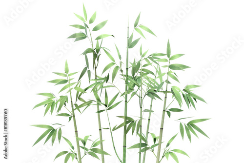 Lush green bamboo stalks with leaves  isolated on a transparent background. Ideal for nature  environment  or botanical themes.